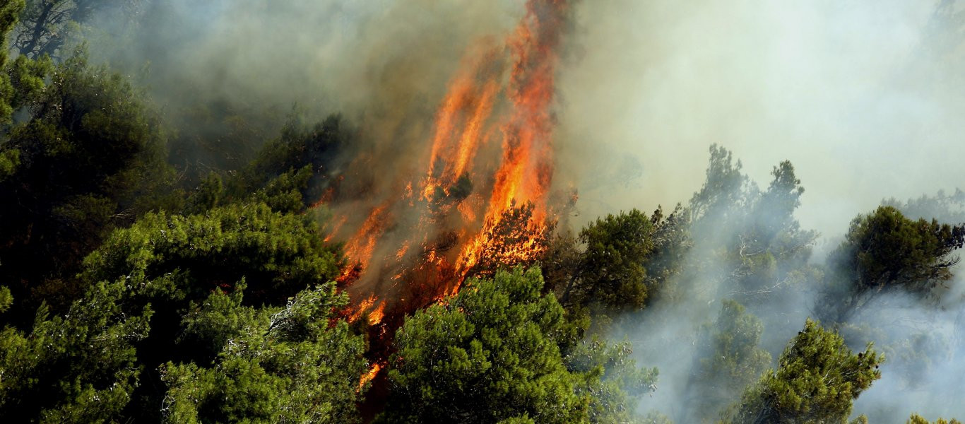 Κρήτη : Ξέσπασε φωτιά στο Κατσιδώνι Σητείας